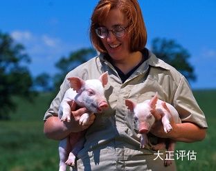 万洲国际生物资产评估